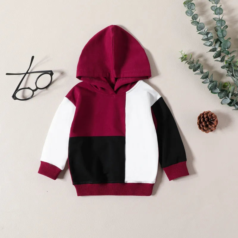 Baby Boy Hooded Patchwork Sweatshirt