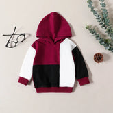 Baby Boy Hooded Patchwork Sweatshirt