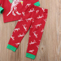 Baby Christmas Dinosaur Set