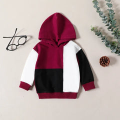 Baby Boy Hooded Patchwork Sweatshirt