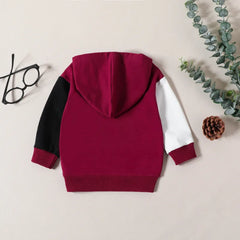 Baby Boy Hooded Patchwork Sweatshirt